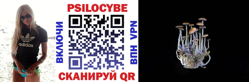 продажа наркотиков Лихославль Псилоцибиновые грибы мицелий
